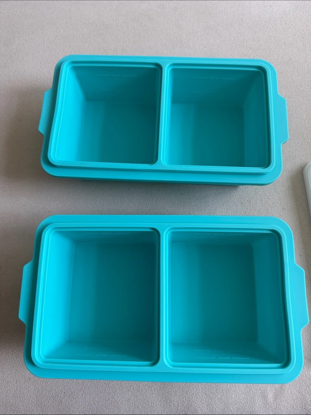 Teal Silicone Freezer Tray - 2 Cup (500ml)